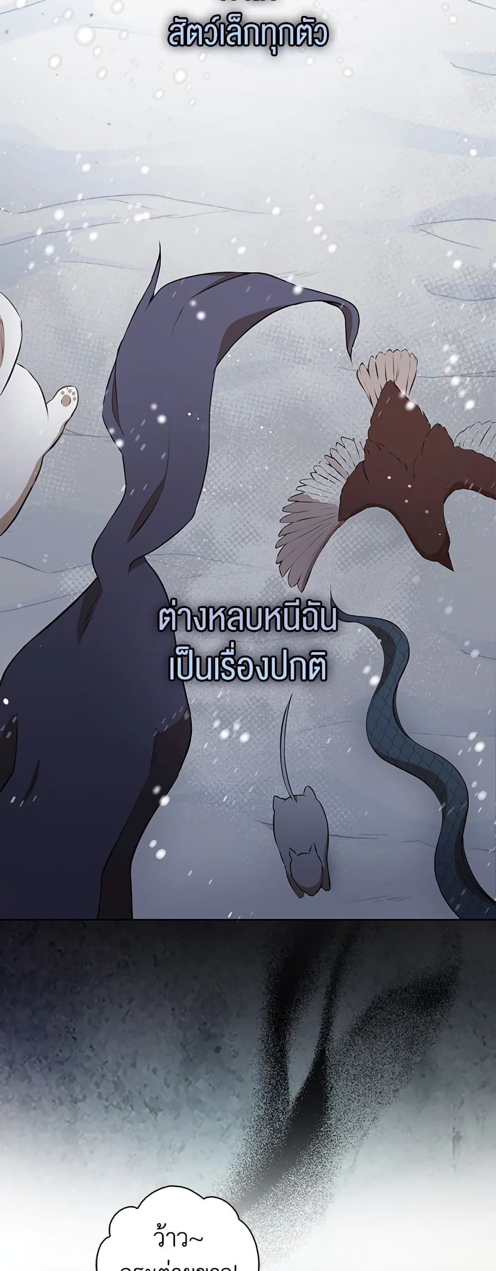 Baby Squirrel Is Good at Everything ตอนที่ 5 (47)
